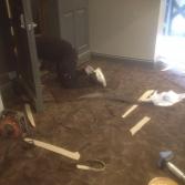 Photo of flooring